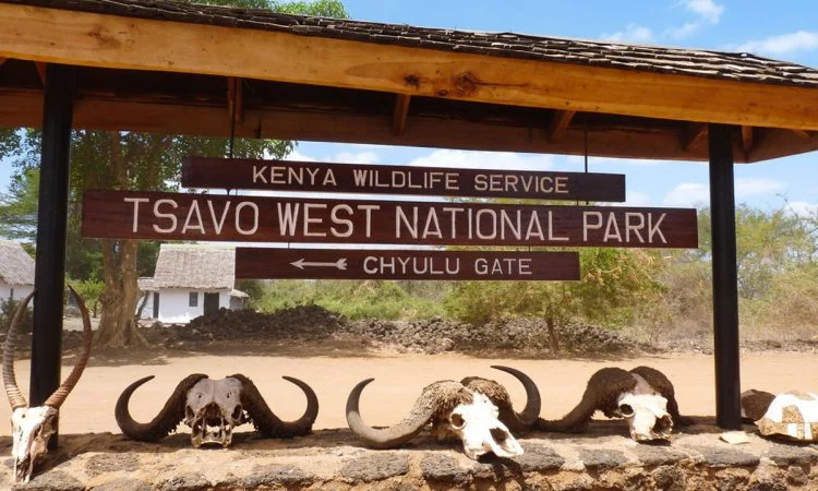 Tsavo West National Park